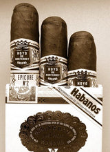 Load image into Gallery viewer, HOYO DE MONTERREY Epicure No. 2 | Box 15 (Pack of 5x3)