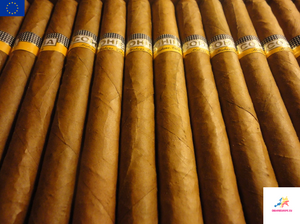 Cohiba Espléndidos | Varnished Semi Boîte Nature Box of 25