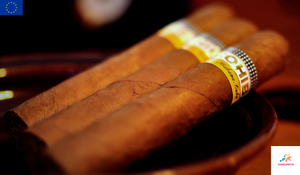 COHIBA - Robustos | SLB Box of 25