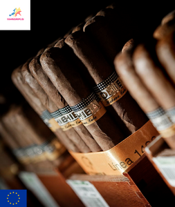 COHIBA - Siglo V | SLB Box of 25