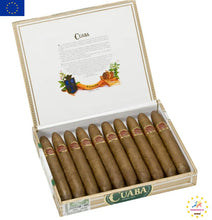 Load image into Gallery viewer, CUABA Distinguidos | Dress Box of 10