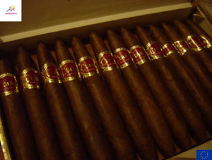 CUABA Exclusivos | Dress Box of 25