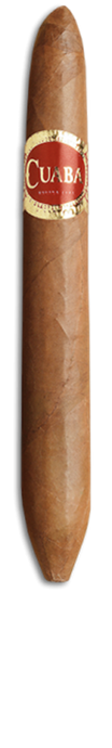 CUABA Salomón | Dress Box of 10