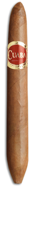 CUABA Salomón | Dress Box of 10