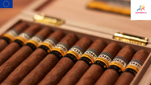 Cohiba - Maduro 5 Secretos | Box of 10