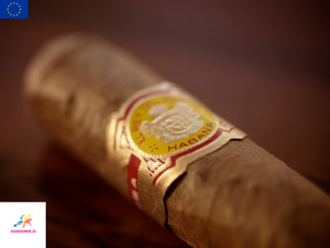 EL REY DEL MUNDO Demi Tasse | Dress Box of 25
