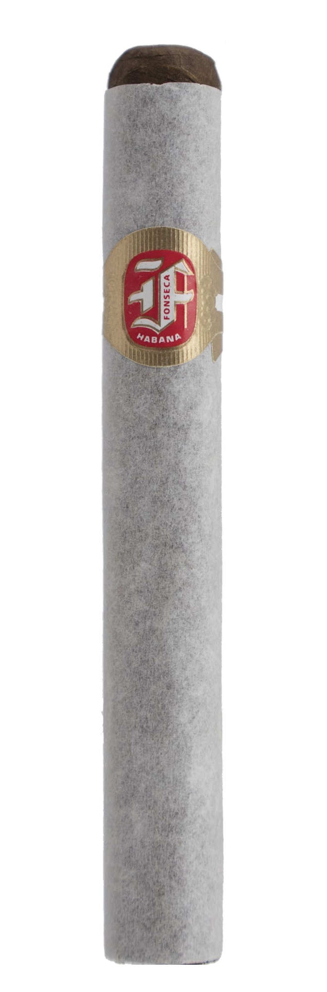 FONSECA Delicias | Dress Box of 25