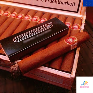 H. UPMANN Regalias | Dress Box of 25
