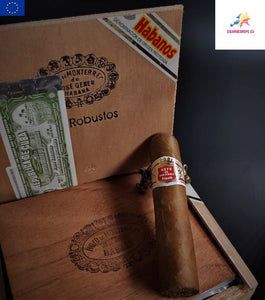 HOYO DE MONTERREY - Petit Robustos | SLB Box of 25