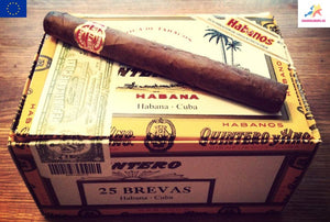 QUINTERO Y HERMANO Brevas | Box of 25