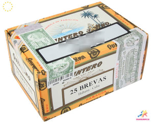 QUINTERO Y HERMANO Brevas | Box of 25