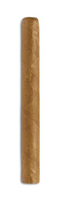 ROMEO Y JULIETA Cazadores | Box of 25